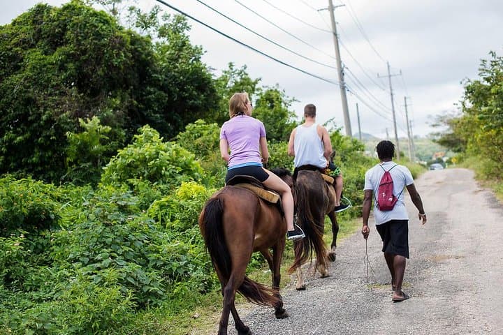 Private Horseback Riding from Ocho Rios — Beach Ride & Horse Swim photo 2