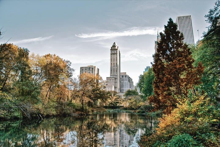 Central Park Guided Walking Tour: 2.5-Hour Semi-Private Small-Group Experience photo 2