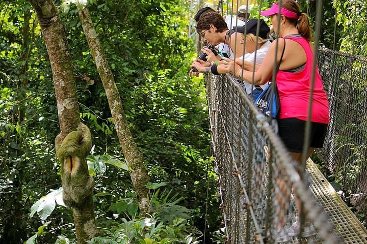 Arenal Hanging Bridges and Canyoning Combo — La Fortuna Rainforest Adventure photo 1
