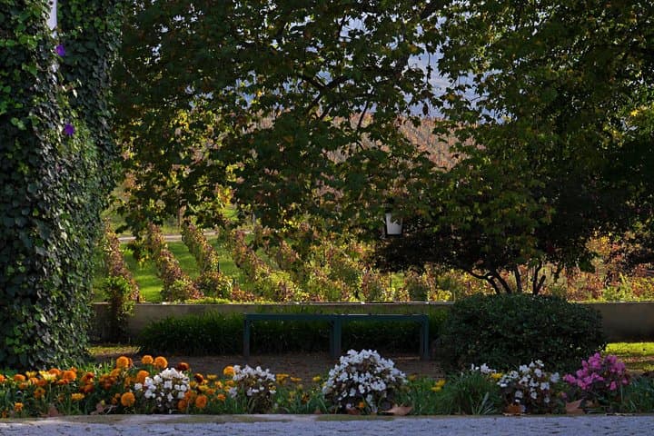 Douro Valley Private Tour: River Cruise, Vineyard Lunch & Wine Tasting from Porto photo 2