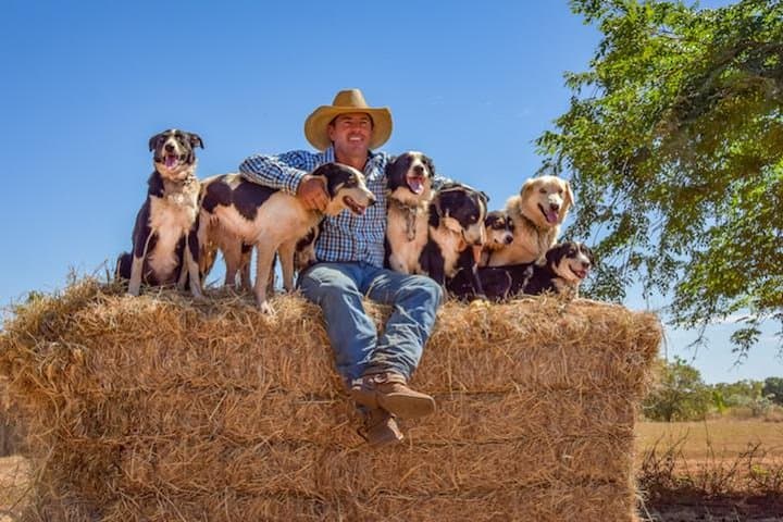 Katherine Outback Experience: Live Horse-Starting & Working Dogs Show