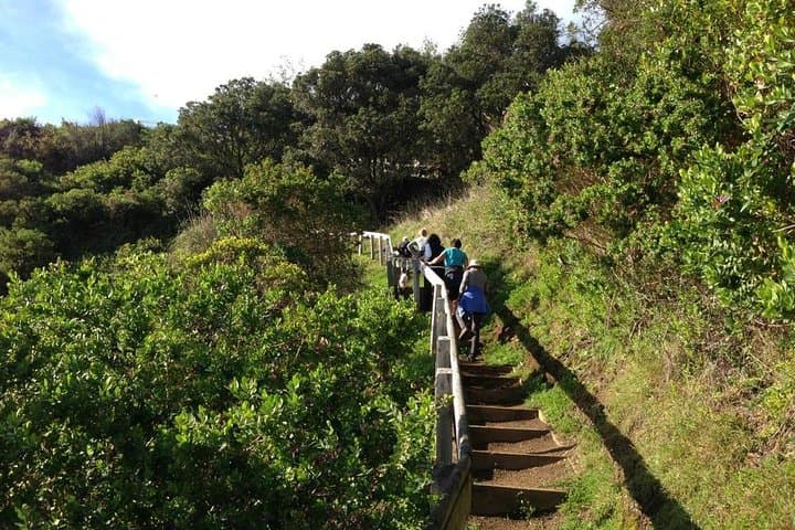 Te Ara Hura Waiheke: A 5-Day Private Guided Walk Around the Island photo 3