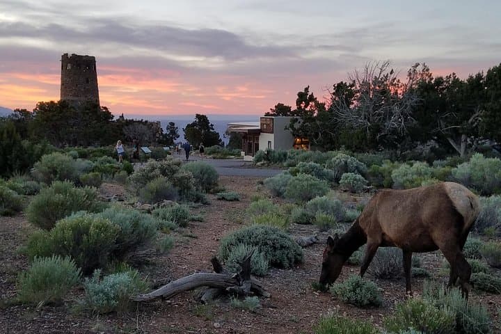 custom-grand-canyon-day-trip-south-rim-small-group-tour-from-phoenix photo 4