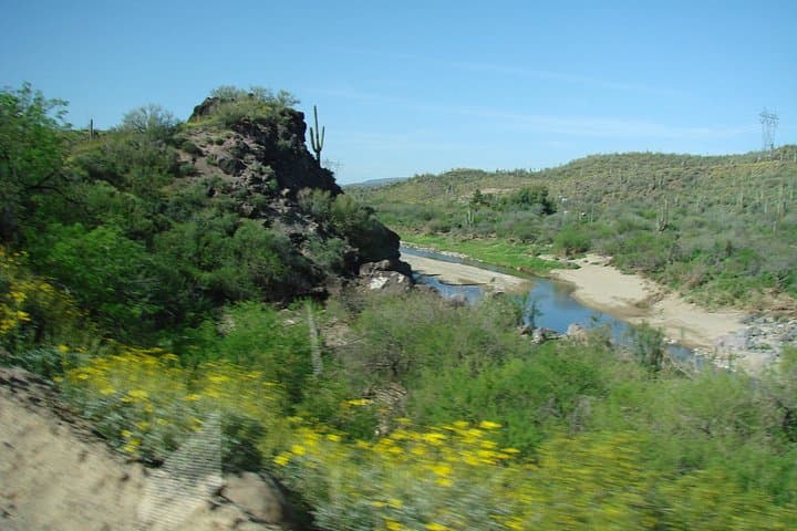 Old West Day Adventure: Horseback Ride & Cowboy Lunch near Phoenix photo 2