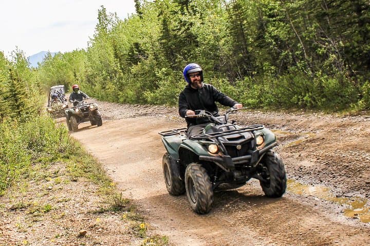 Explore Denali’s Untamed Wilderness on an ATV Trailblazer Tour