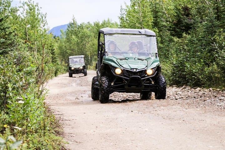 Explore Denali’s Untamed Wilderness on an ATV Trailblazer Tour photo 2