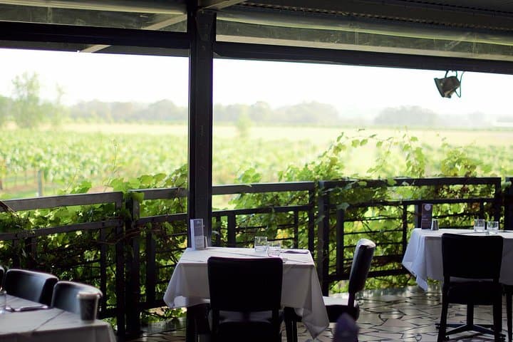 Sunrise Helicopter Tour and Bubbly Breakfast in Hunter Valley photo 4