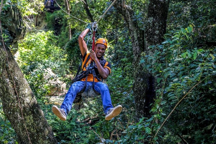 Glide the Aerial Cable Trail Over Sabie River Valley — Hazyview Zipline Adventure
