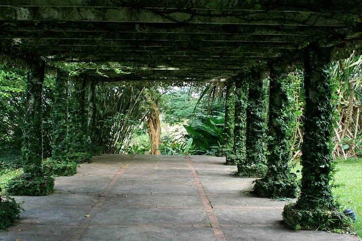 Know the Place: Montego Bay Historical Highlights & Bellefield Great House Tour photo 2