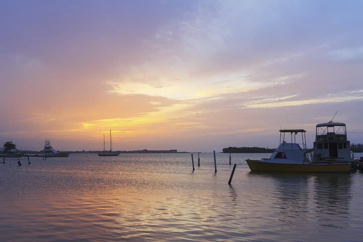 Evening on the Luminous Lagoon: Martha Brae Rafting and Falmouth Highlights photo 2
