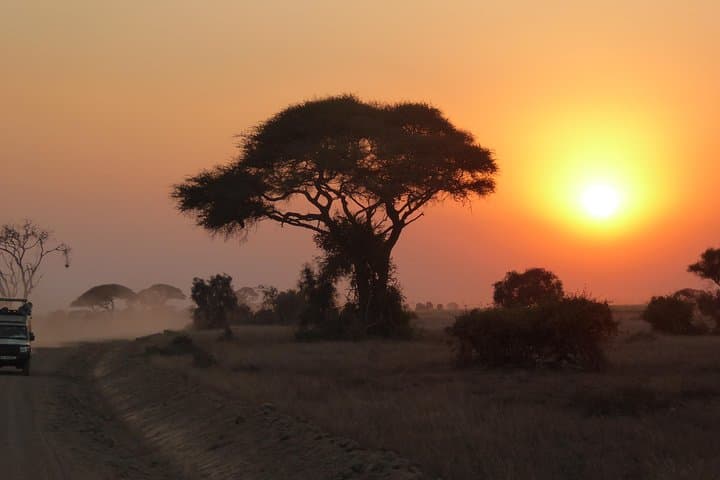 4-Day Tanzania Safari: Lake Manyara, Serengeti & Ngorongoro photo 1