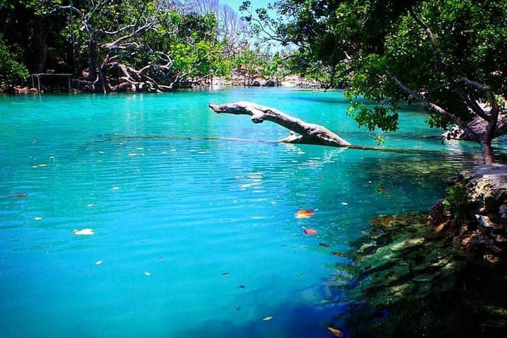 Port Vila Cultural Tour & Blue Lagoon Day Trip with Yumi Tours photo 4