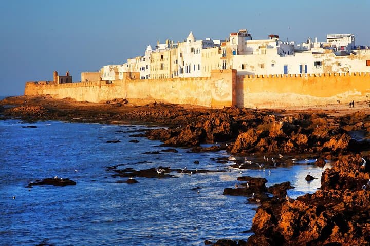 Day Trip to Essaouira from Marrakech: Argan Co-ops, Fishing Port & Atlantic Winds photo 4