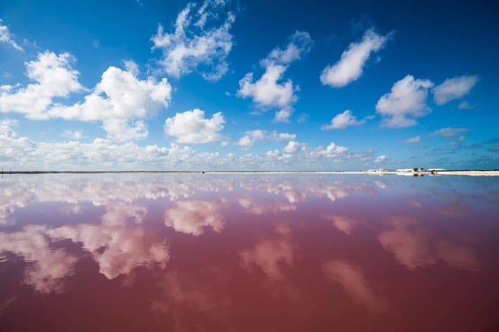 Las Coloradas Pink Lakes & Río Lagartos Day Tour from Cancún photo 4
