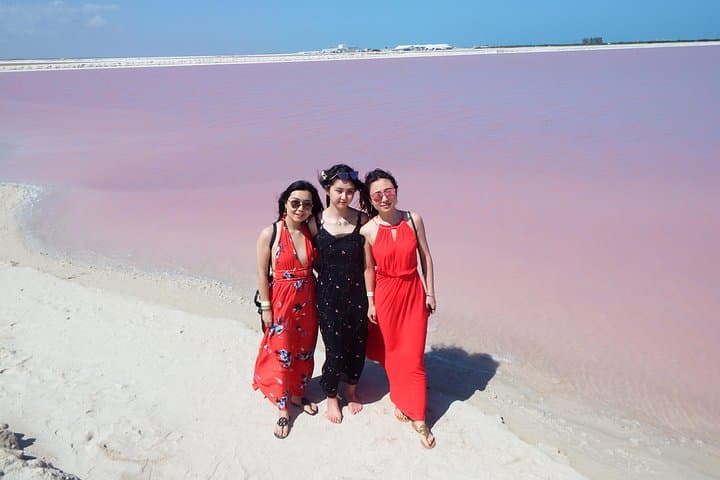 Las Coloradas Pink Lakes & Río Lagartos Day Tour from Cancún photo 3