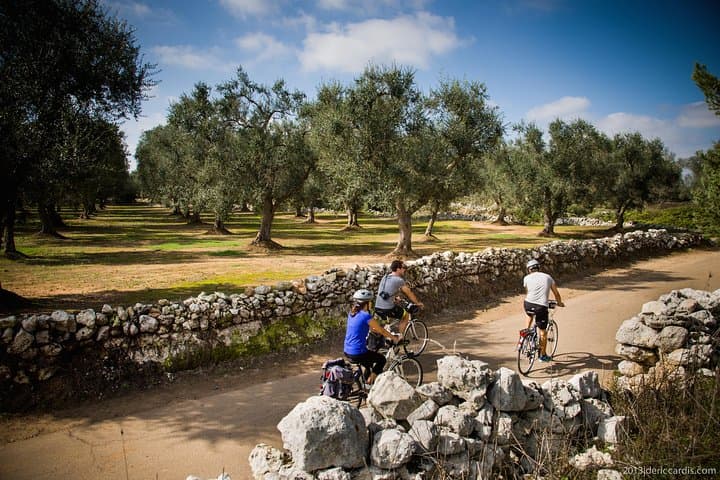Cycling Capo di Leuca: 4-Hour Salento Bike Tour