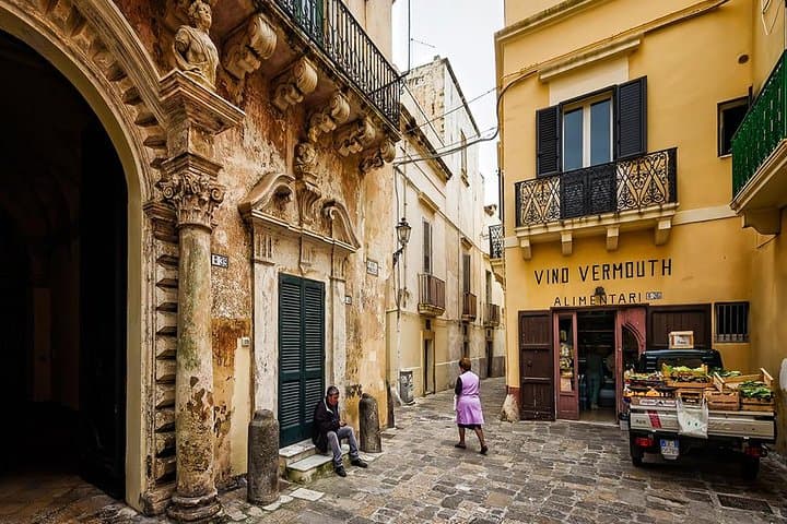 Gallipoli Inland & Porto Selvaggio Full-Day Bike Tour: Culture, Coast and Olive Roads