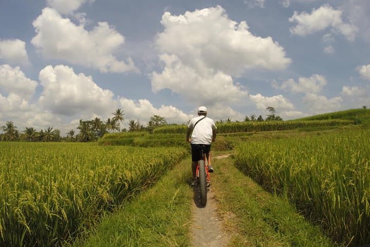 Electric Fat-Tire E-Bike Tour Through Ubud Rice Fields photo 2
