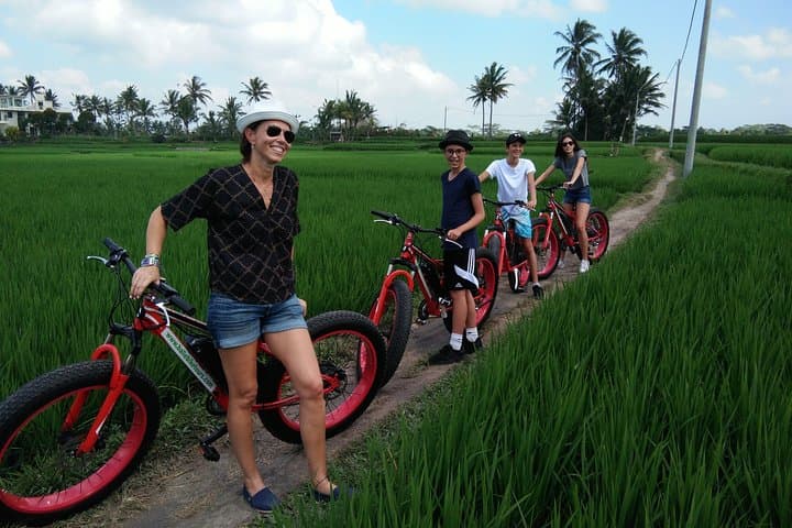 Electric Fat-Tire E-Bike Tour Through Ubud Rice Fields