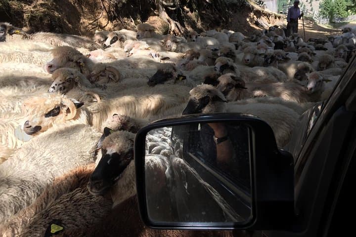Off-Road to Ecem Peak: Full-Day 4x4 Tour in Romania's Eastern Carpathians photo 4