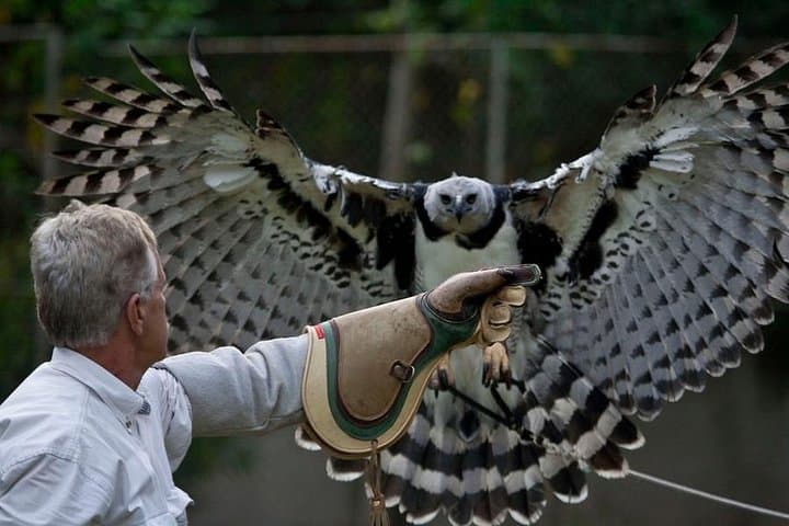 Ribatejo Falconry & Salt Flats Private Tour from Lisbon