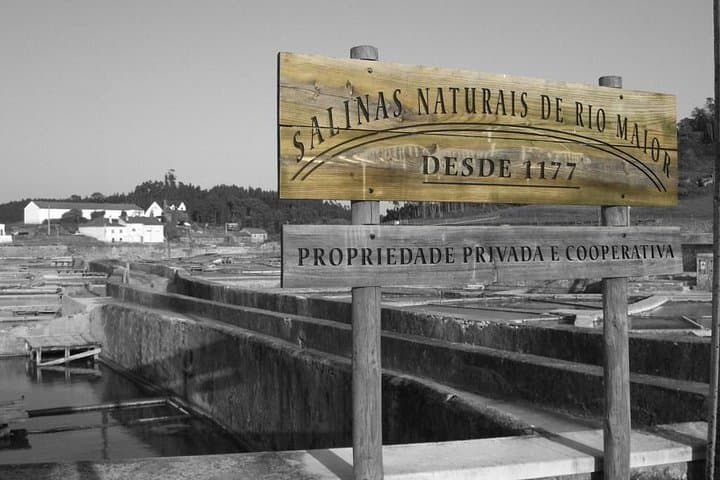 Ribatejo Falconry & Salt Flats Private Tour from Lisbon photo 2