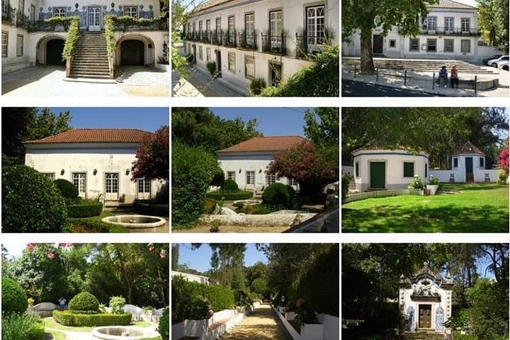 Private Lisbon Day Trip to Solares, Costa da Caparica & Setúbal Wine Tasting