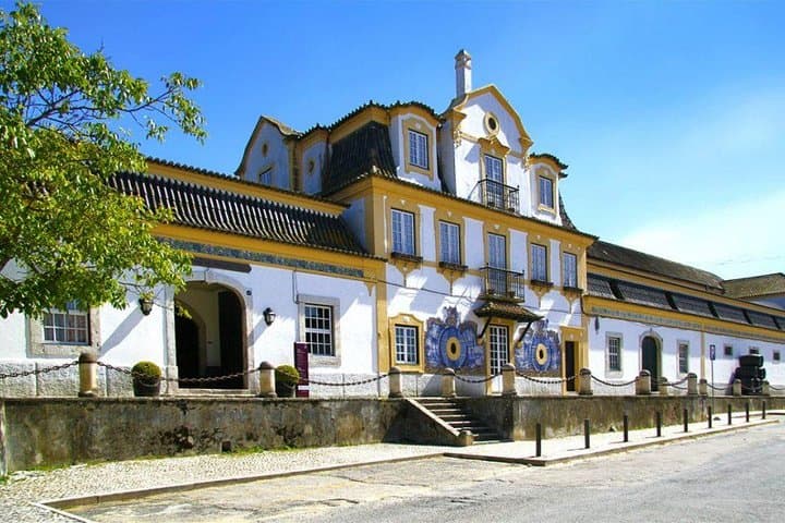 Half-Day Setúbal Winery Tour with Sesimbra Grill-Fish Lunch photo 2