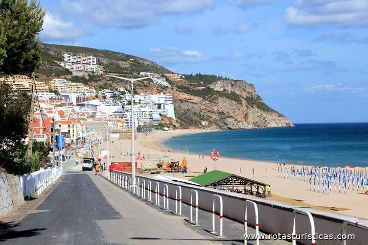 Half-Day Setúbal Winery Tour with Sesimbra Grill-Fish Lunch