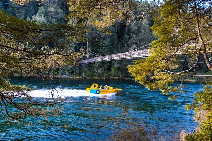 Pure Wilderness: Jet Boat Journey through Fiordland National Park photo 3