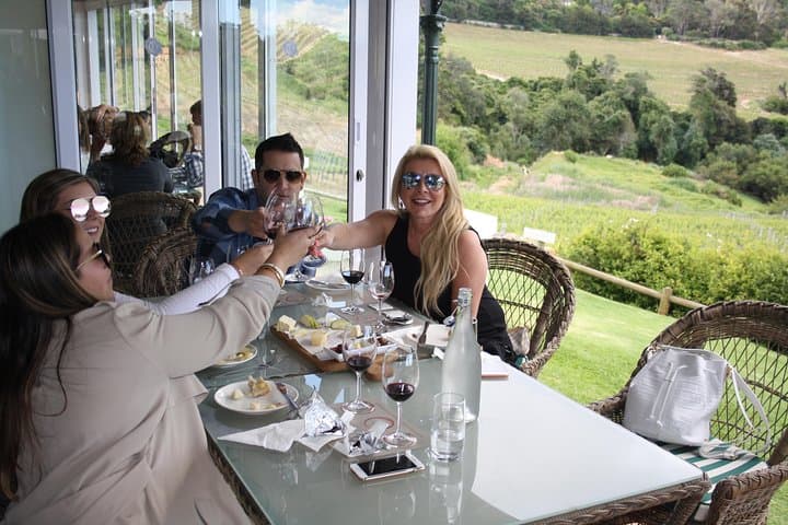 Constantia Wine Route Half-Day: Premium Tastings & A La Carte Lunch Near Cape Town