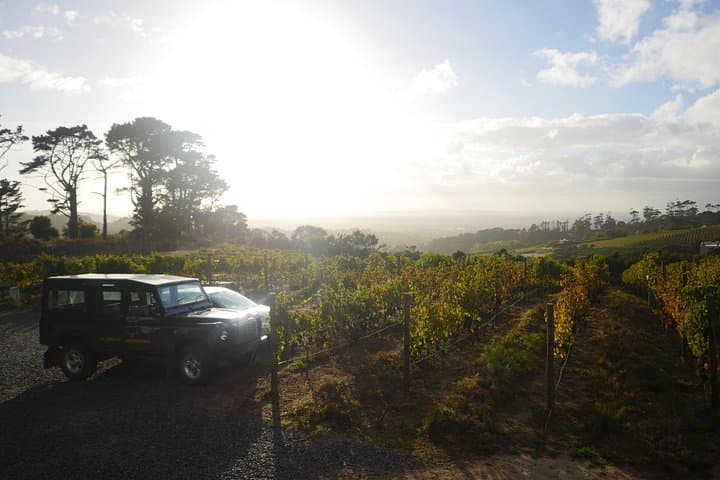 Ultra-Premium Private Wine Tour to Klein Constantia: Cellar Tours, 4x4 Vineyard Ride & Vin de Constance