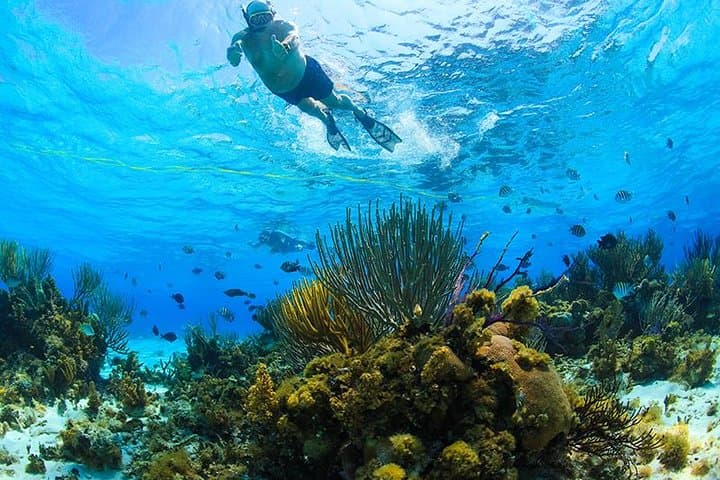 Private Stingray City and Snorkeling Half-Day Charter from Camana Bay photo 3