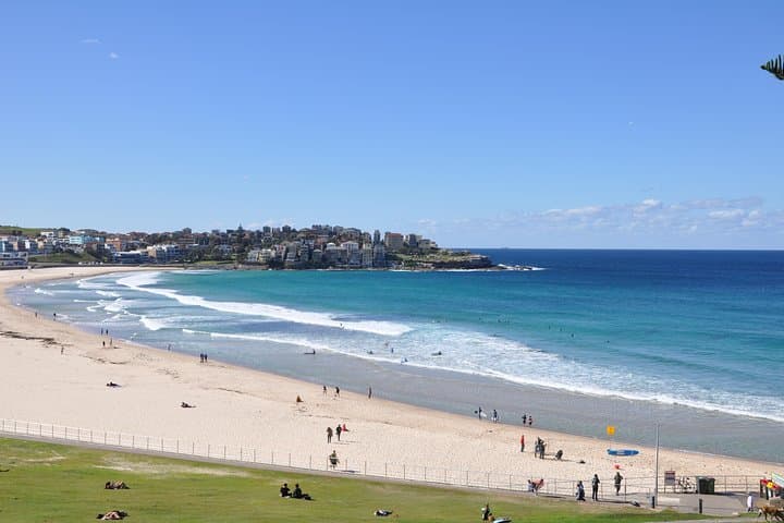 Sydney Half-Day Private Tour: Bondi, Watsons Bay & Harbour Highlights photo 2