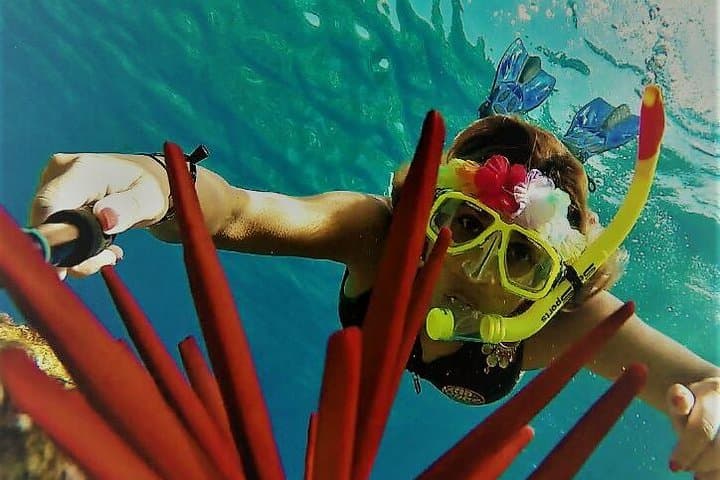 Molokini Crater Zodiac Snorkel & Turtle Cove Swim — Maui Small-Boat Adventure