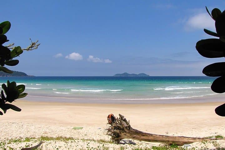 Ilha Grande Hiking Tour: Trek to Lopes Mendes, Palmas & Pouso Beaches