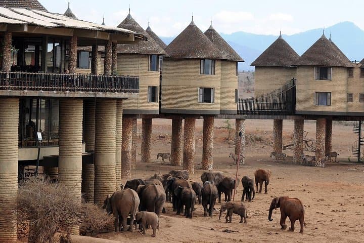 5-Day Tsavo East, Tsavo West & Amboseli Wildlife Safari from Mombasa