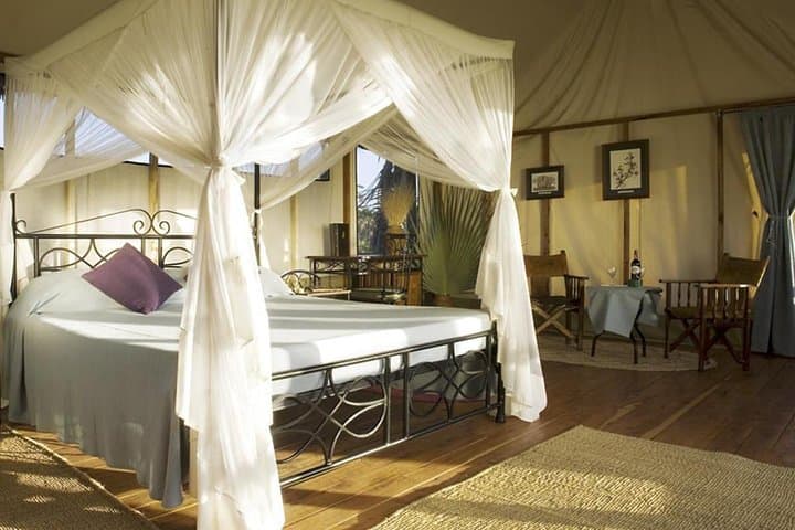 6-Day Northern Circuit Safari: Lake Manyara, Serengeti, Ngorongoro & Tarangire (Comfort) photo 2