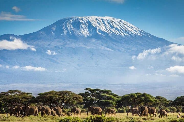 7-Day Machame Route Kilimanjaro Climb: A Practical Guide to Reaching Uhuru Peak photo 2