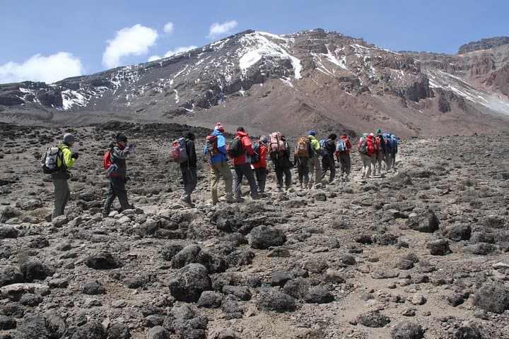 6-Day Kilimanjaro Trek: Marangu (Coca-Cola) Route to Uhuru Peak