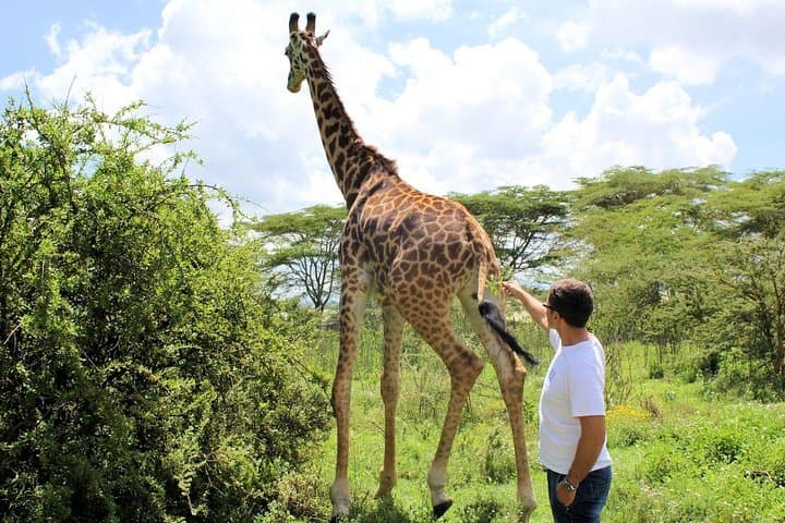 Bikes, Hippos & Gorges: 2-Day Hell's Gate, Lake Naivasha & Crescent Island Safari photo 2