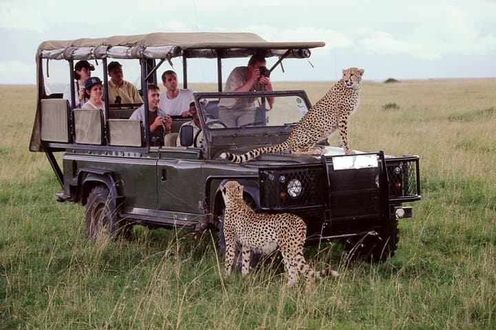 21-Day Kenya & Tanzania: Machame Kilimanjaro, Masai Mara Safari & Diani Beach Escape photo 5