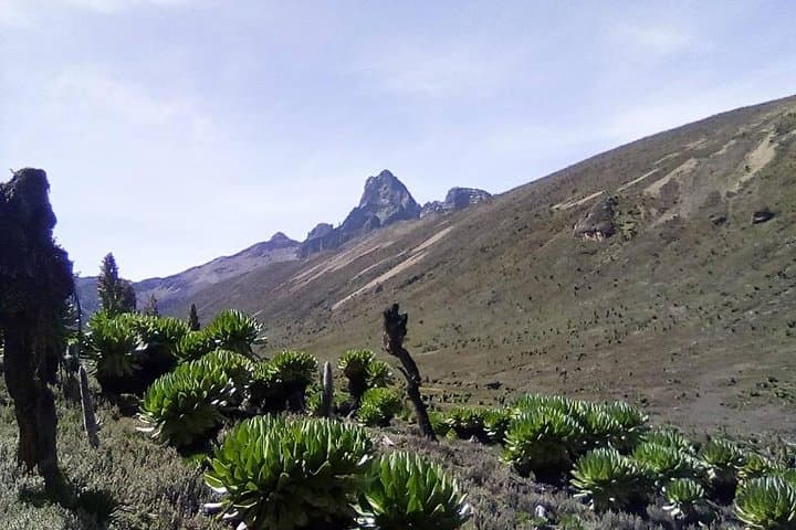 Mount Kenya Sirimon-Chogoria 5-Day Trek to Point Lenana