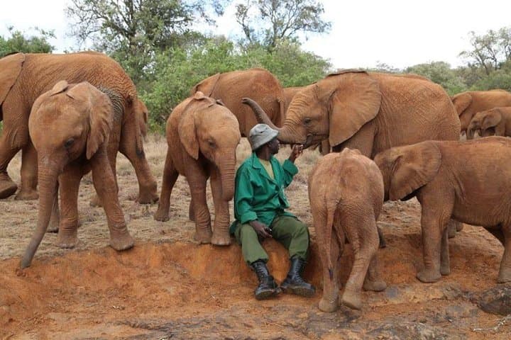 6-Day Masai Mara, Hell's Gate & Lake Naivasha Safari photo 3