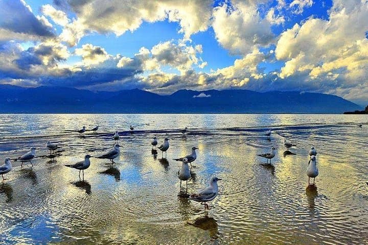 Dali One-Day Erhai Sightseeing: Three Pagodas, Flower Fields & Lake Erhai Bike Tour photo 2