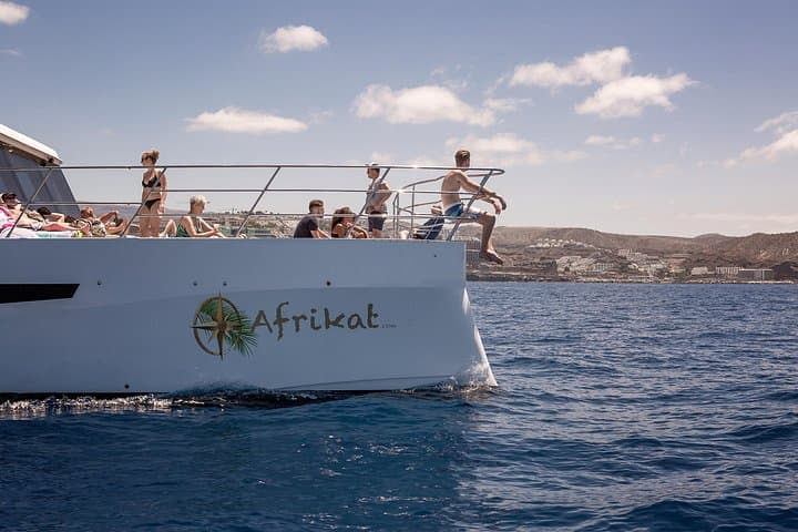 Afrikat Afternoon Cruise: 4.5-Hour Catamaran from Puerto Rico, Gran Canaria photo 1