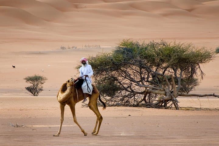 Wahiba Sands 4x4 and Wadi Bani Khalid Day Tour from Muscat photo 1