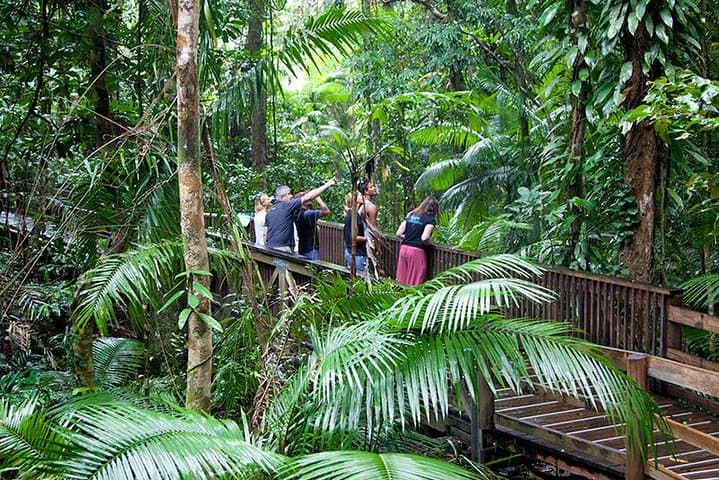 Daintree Rainforest & Mossman Gorge Full-Day Tour: River Cruises, Walks and Wildlife