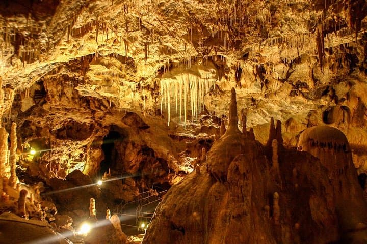 Explore Romania's Bear's Cave: One-Day Minivan Tour from Oradea