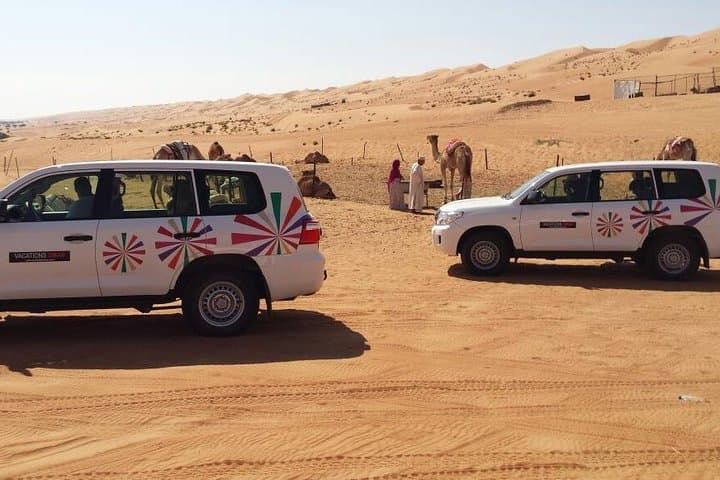 Red Dunes and Wadi Pools: Wahiba Sands 4x4 Desert Safari